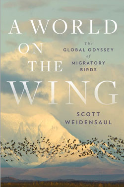 book cover for World on the Wing
