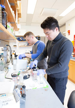 students working in lab