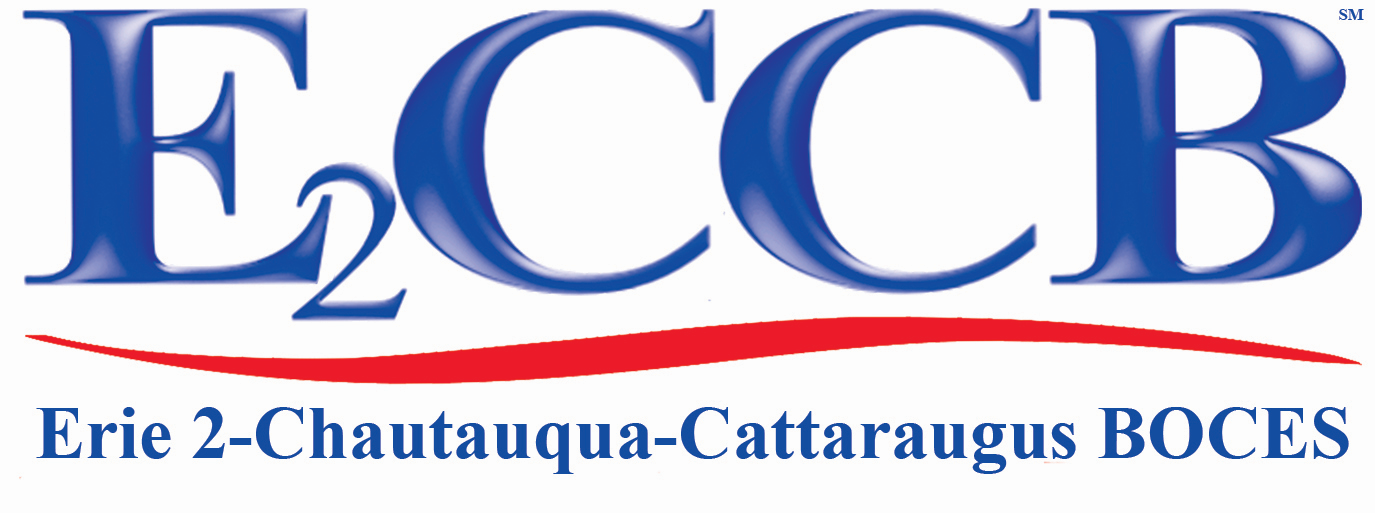 E2CCB Logo