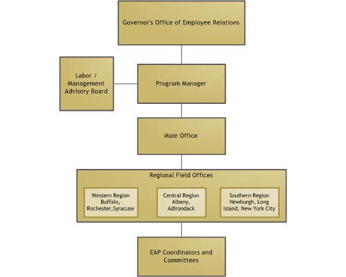 Macy S Organizational Structure Chart