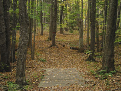 Hiking Trail