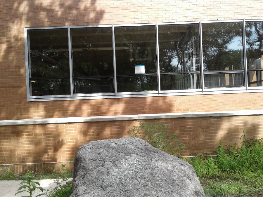 New windows at main office