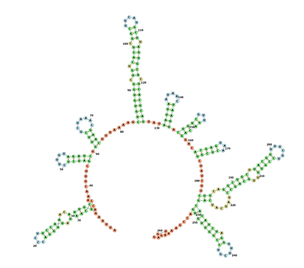 secondary structure of 5' UTR of COVID-19