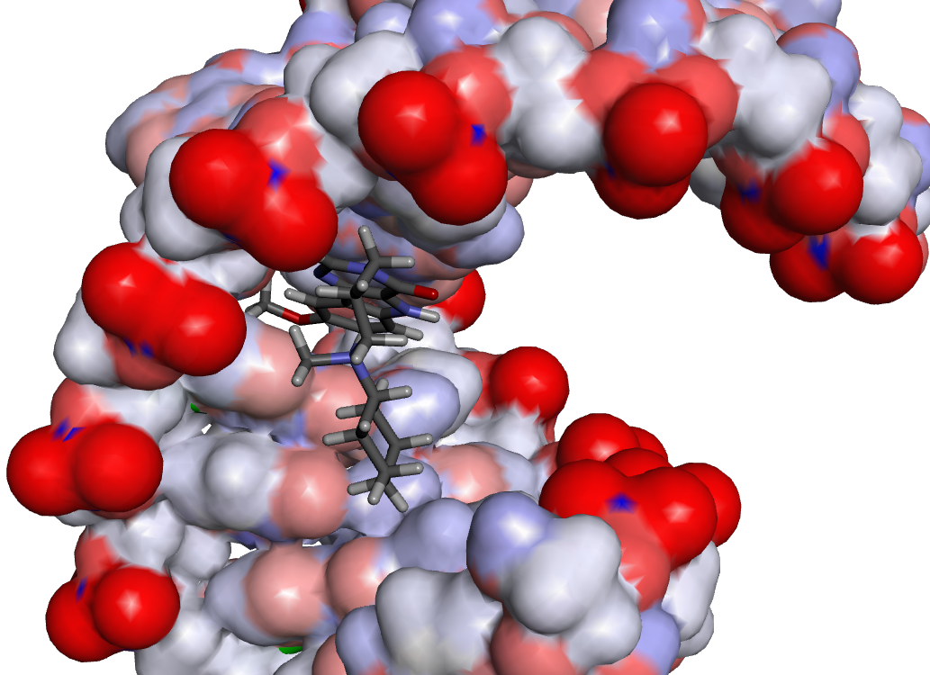 RNA with drug structure