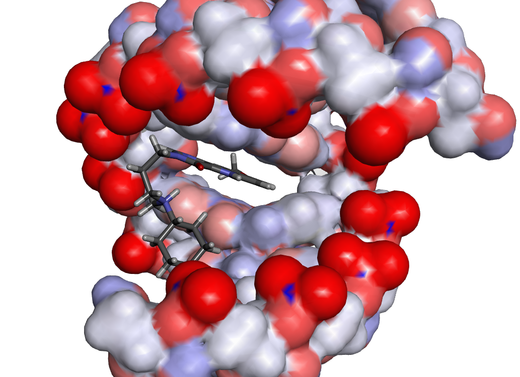 rna with drug structure 2