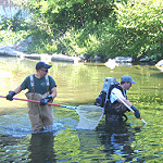 Students Working in the Water Out in the Field