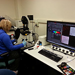 Student Using a Microscope in a Lab