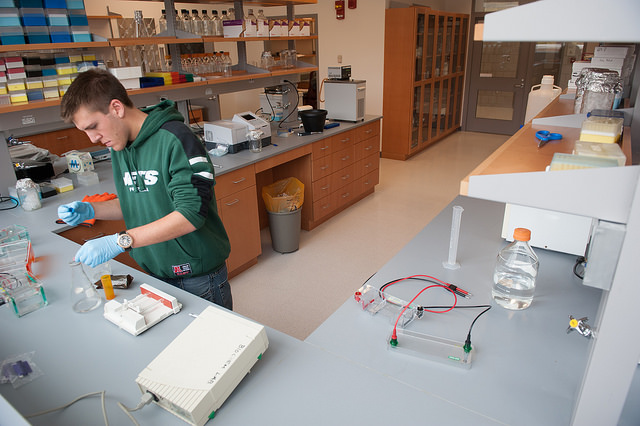 Student Working in a Lab