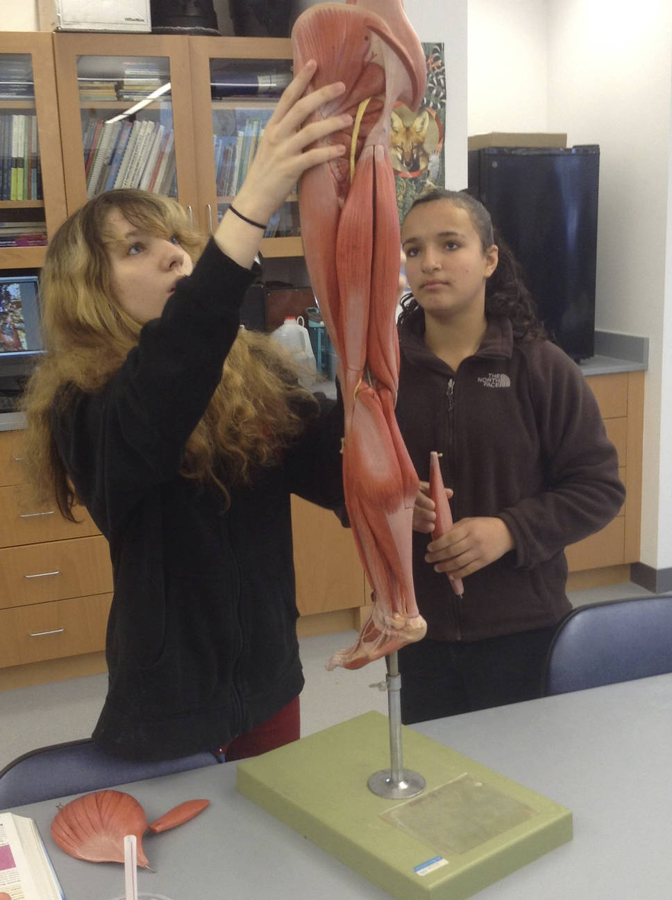 Anatomy & Physiology Facilities & Equipment