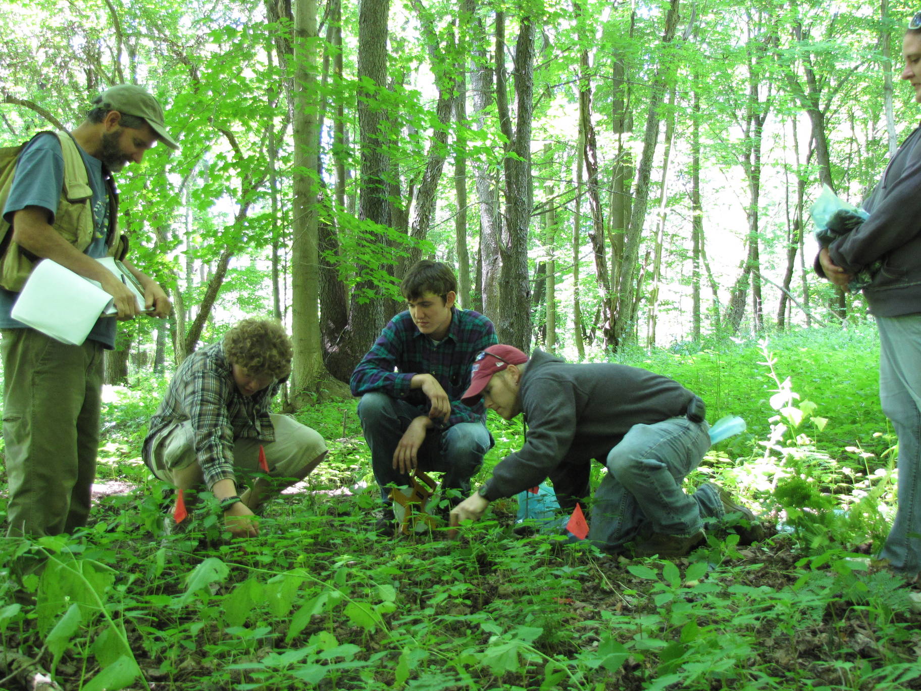 Students in the woods at College Lodge