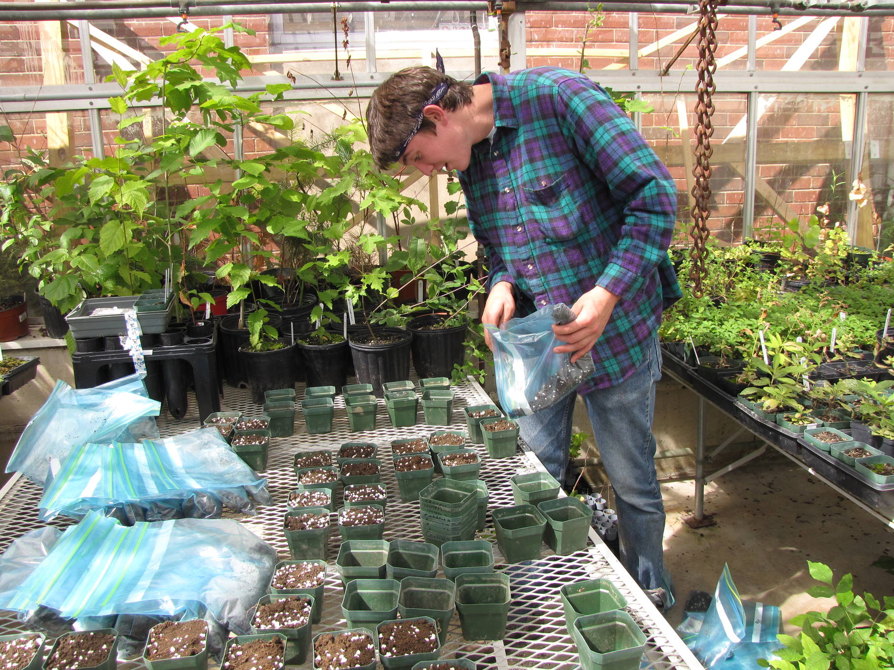 Greenhouse with a student