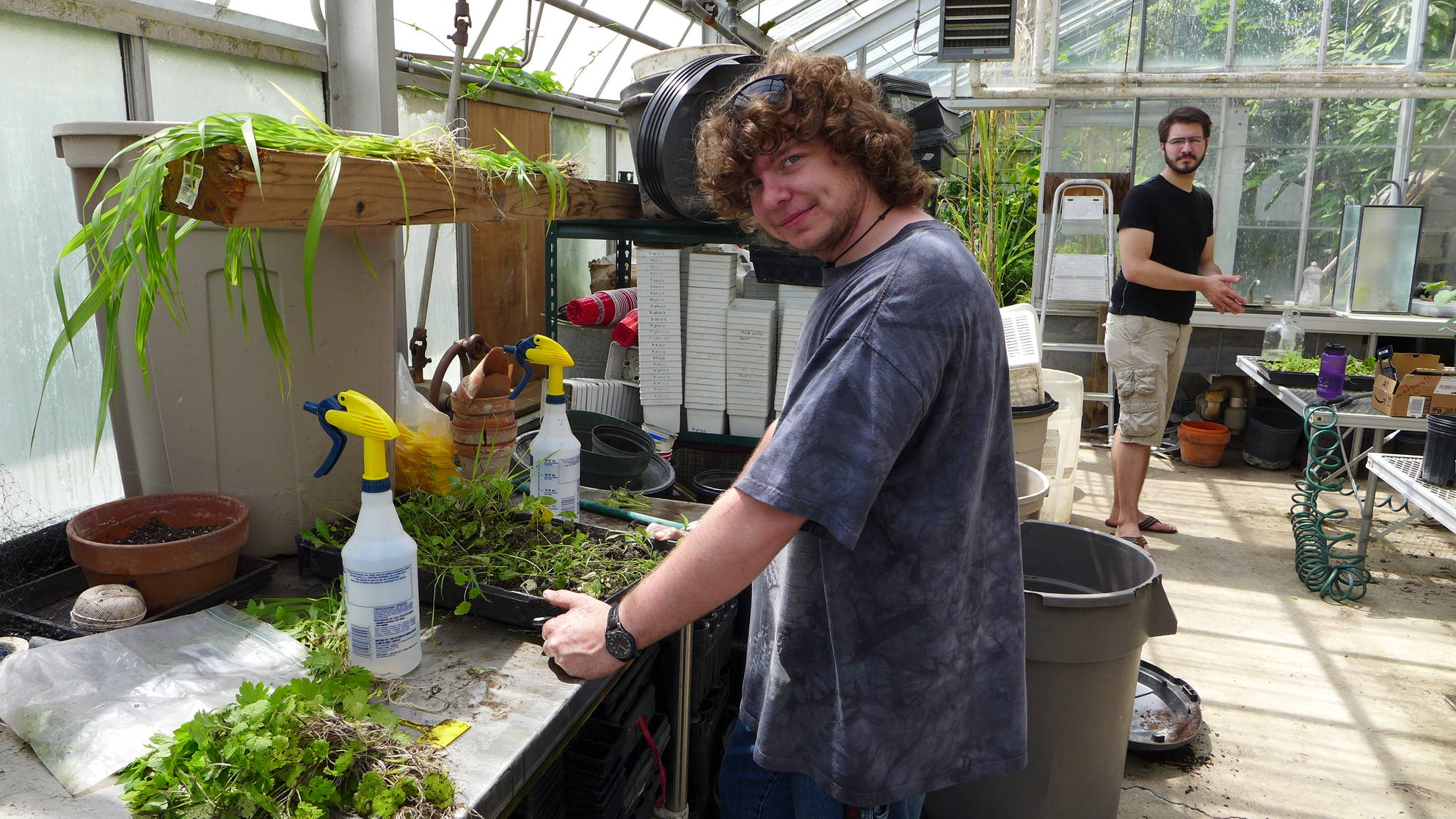 Greenhouse with student