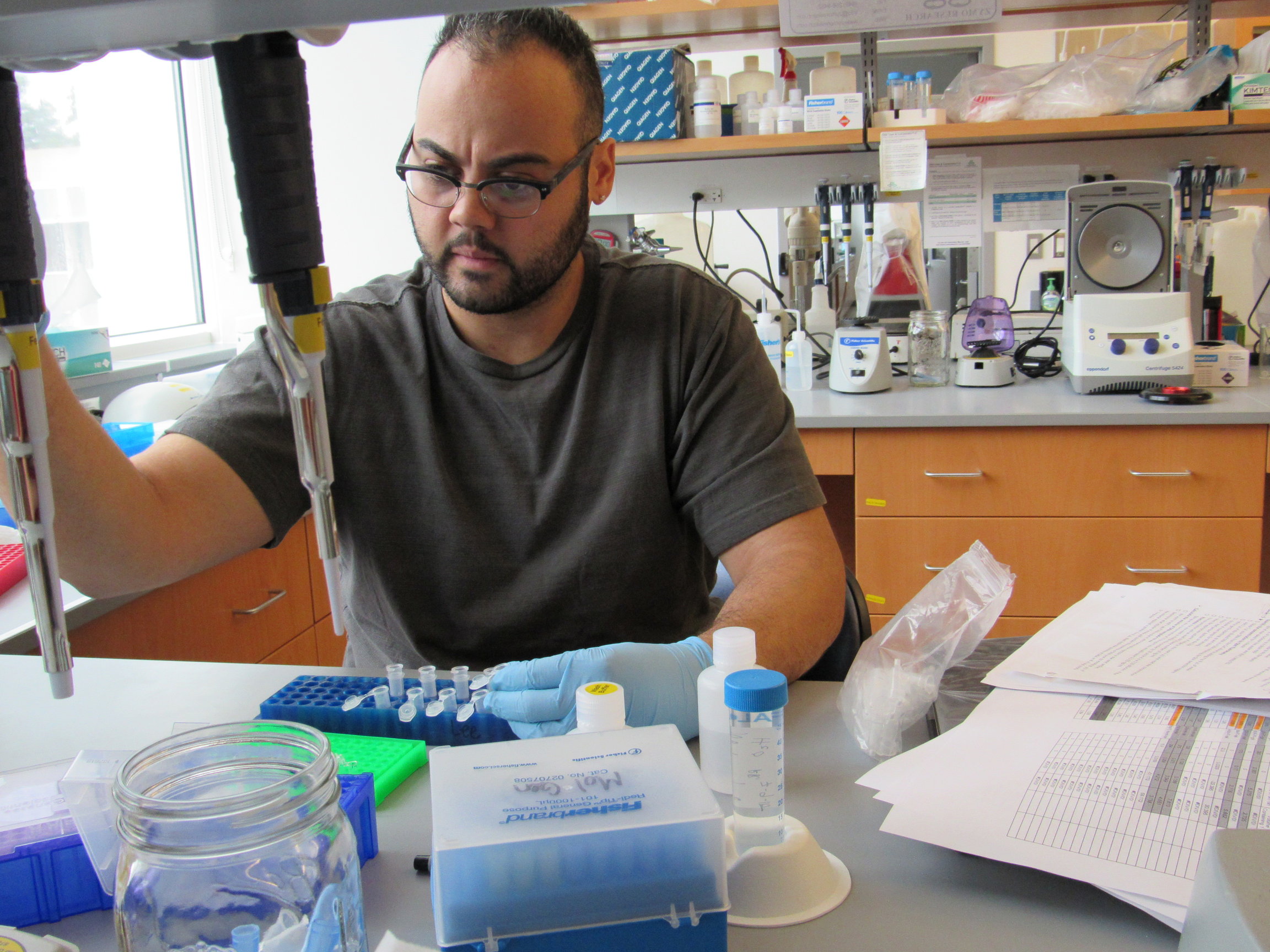 Careers in Molecular Genetics | Fredonia.edu