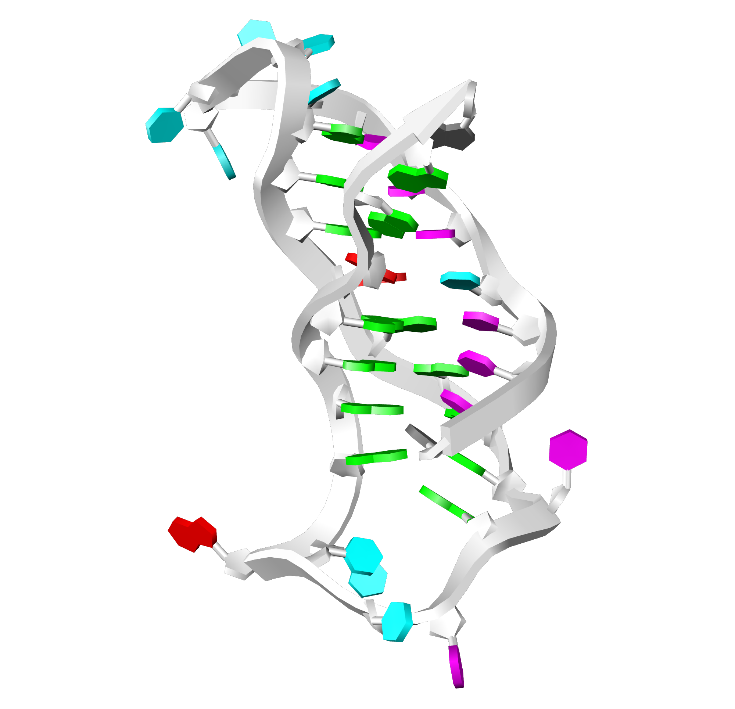 helix structure