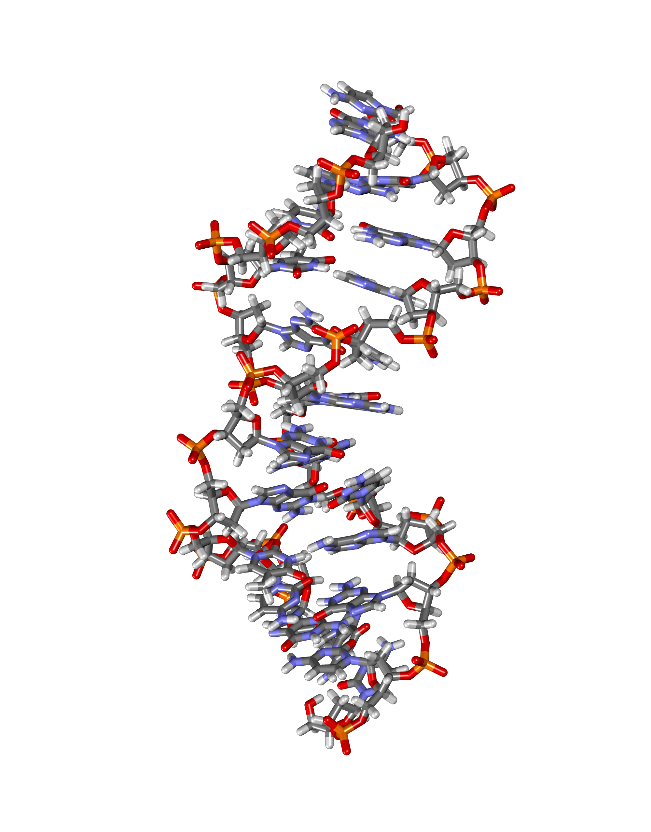 triple helix