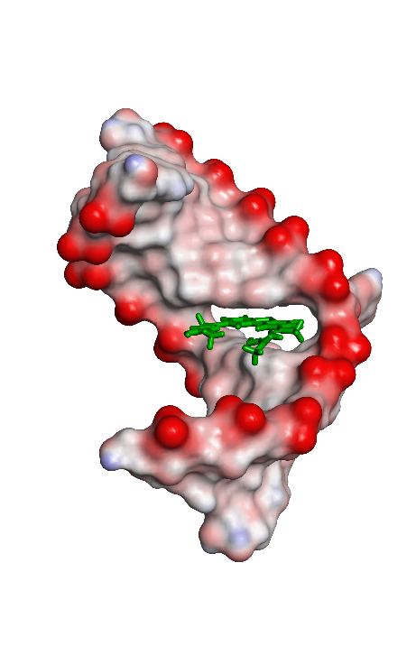 RNA targets