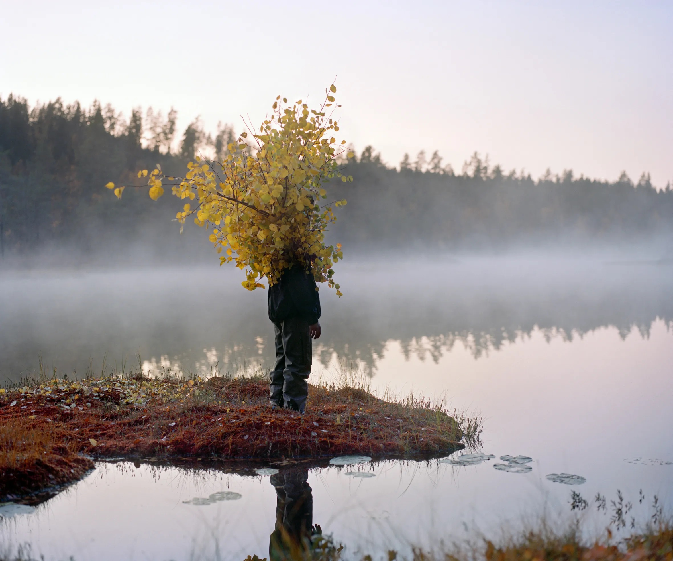 Riitta Ikonen and Karoline Hjorth, ANdrea (Norway), 2019