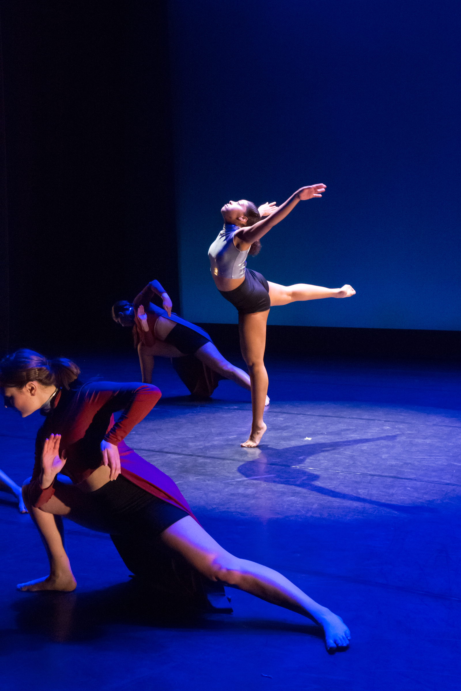Fredonia Dance