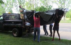 Loading honeysuckle onto the truck