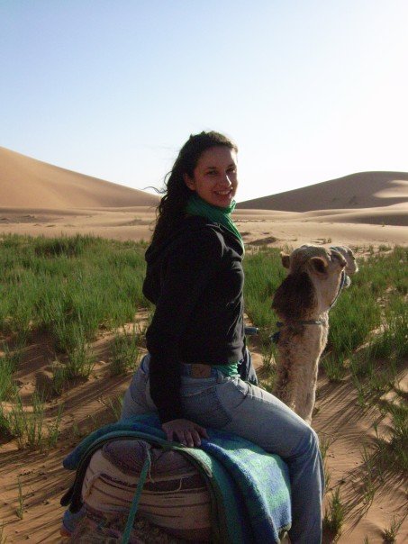 Morocco Camel