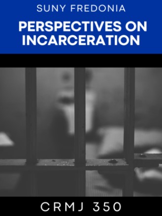 Perspectives on Incarceration