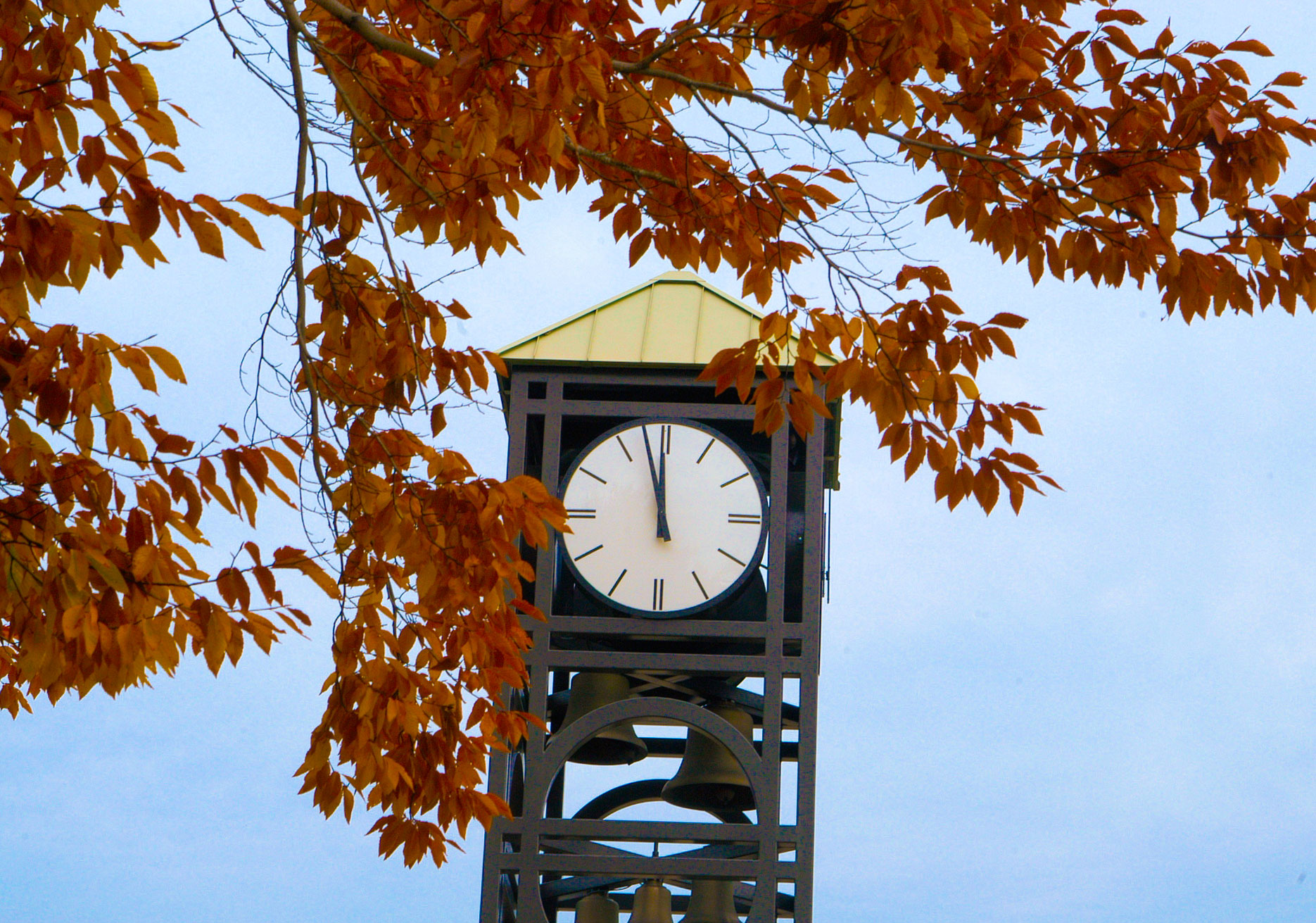 Fall Foliage - Clock Tower
