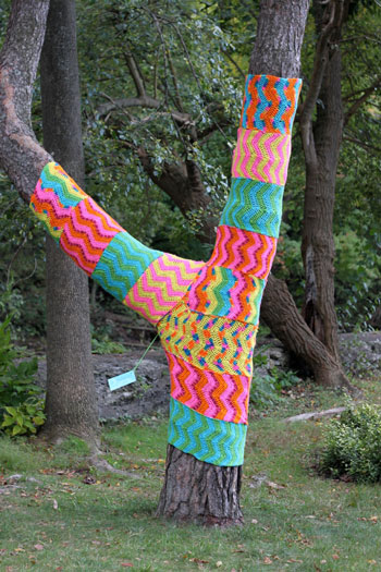 Yarn bomb on Forest Place