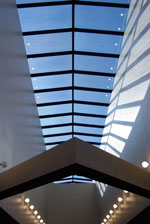 Williams Center skylights