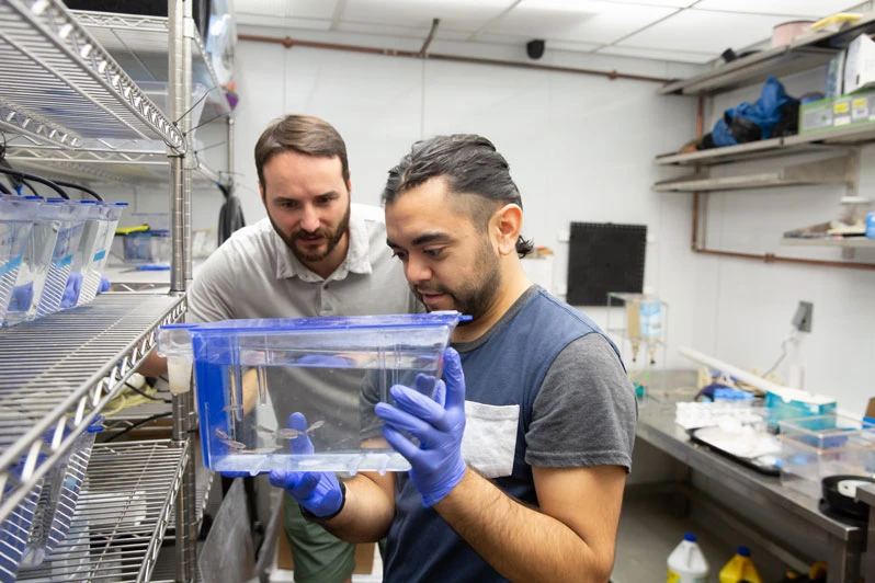 student working with faculty member in lab