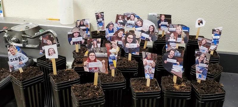 Dr. Michael Jabot keeps his students in mind, placing photos of them in pots that contain Chestnut seeds.
