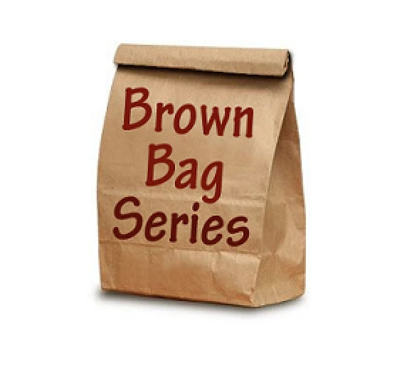 illustration of brown bag