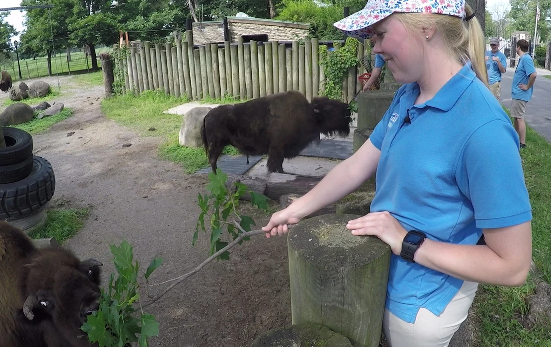 Fredonia graduate Kelsey Lowrey parlayed internship experience into a career at the Buffalo Zoo.