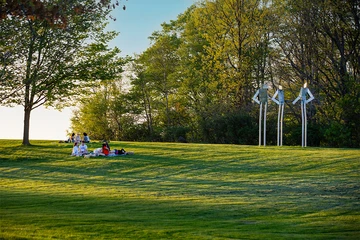 students sitting outside on campus