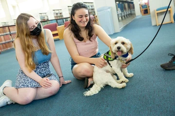 therapy dog Clover with students