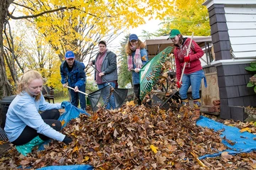 students raking leaves in the community, Public Relations major, Communications major