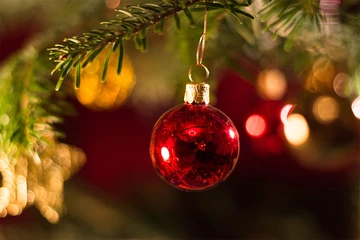 ornaments on a tree