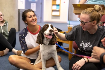 students with therapy dogs