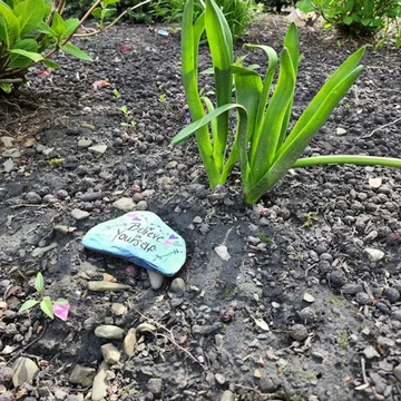 photo of painted rock in garden