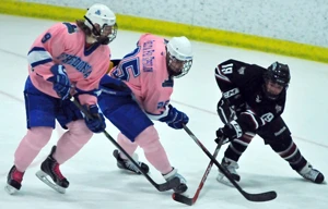 Pink-the-Rink-for-web2