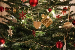 christmas-tree-run-for-web