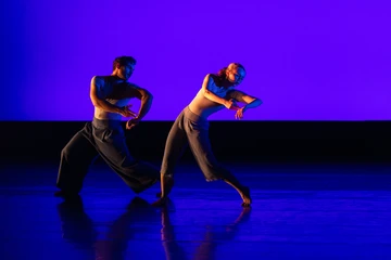 Dance ensemble performance
