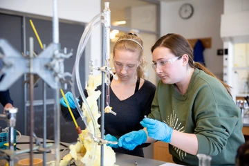 students work in a lab in the Science Center