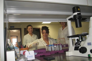 Medical Laboratory Science students in the lab. Medical Laboratory Science program graduates can start great careers often immediately after graduation. 