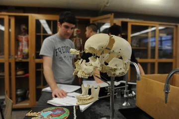 Medical Laboratory Science student with skull in foreground. Medical Laboratory Science program students gain excellent experience in a variety of medical areas.