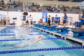 Swimmer dive into the pool at the start of a race in the Natatorium