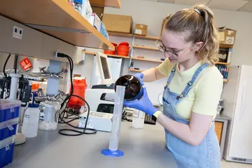 A Fredonia student works in a lab. Molecular genetics degree, molecular genetics major, degree in molecular genetics, molecular biology and genetics undergraduate programs 
