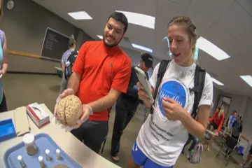 psychology major students working in a classroom; degree in psychology, psychology major, psychology degree