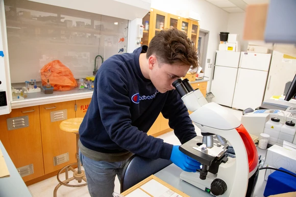 Fredonia biology student in the lab. Students at Fredonia can major in  Biology while earning a biology degree, or earning a degree in biology.