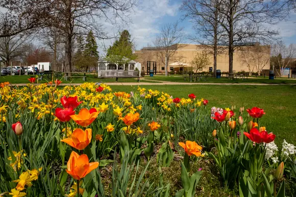 Spring flowers popping up on campus. Yellow , often associated with joy and happiness, also symbolizes  hope for the future. At Fredonia, with our dedication to helping students get the aid they need, and keeping tuition low, we want to  inspire hope in every student. 