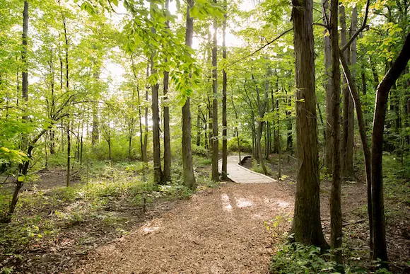 A view of the Phillips Ulrich Trail on the Fredonia campus